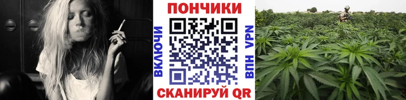 Каннабис план  Сясьстрой 